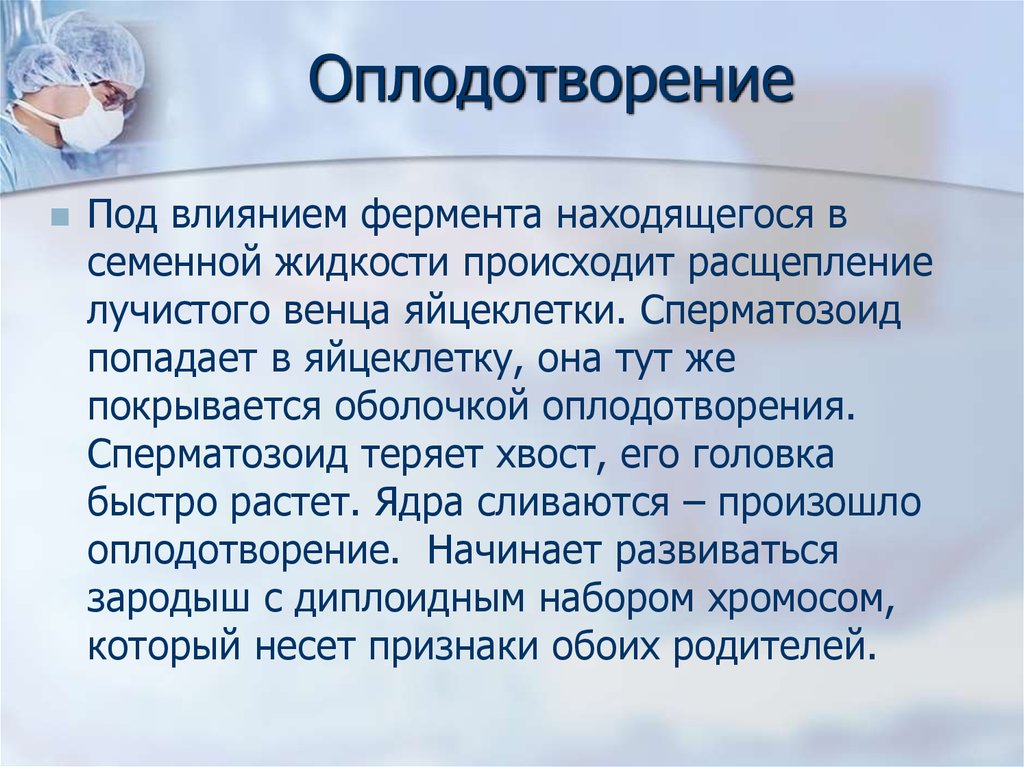 Оплодотворение характеристика