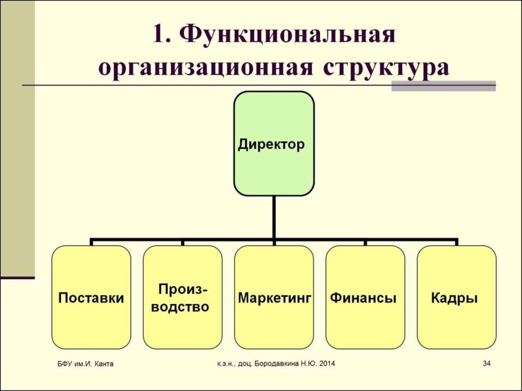 1. Функциональная организационная структура