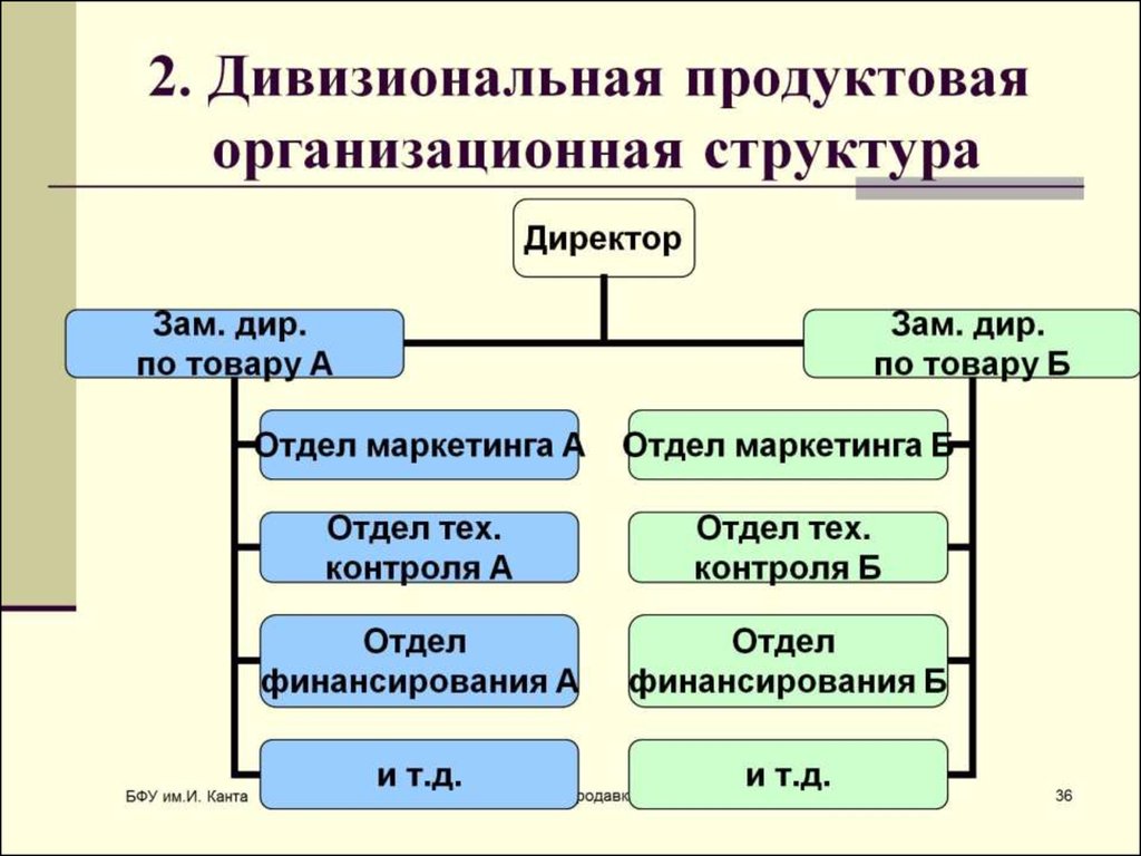 2. Дивизиональная продуктовая организационная структура