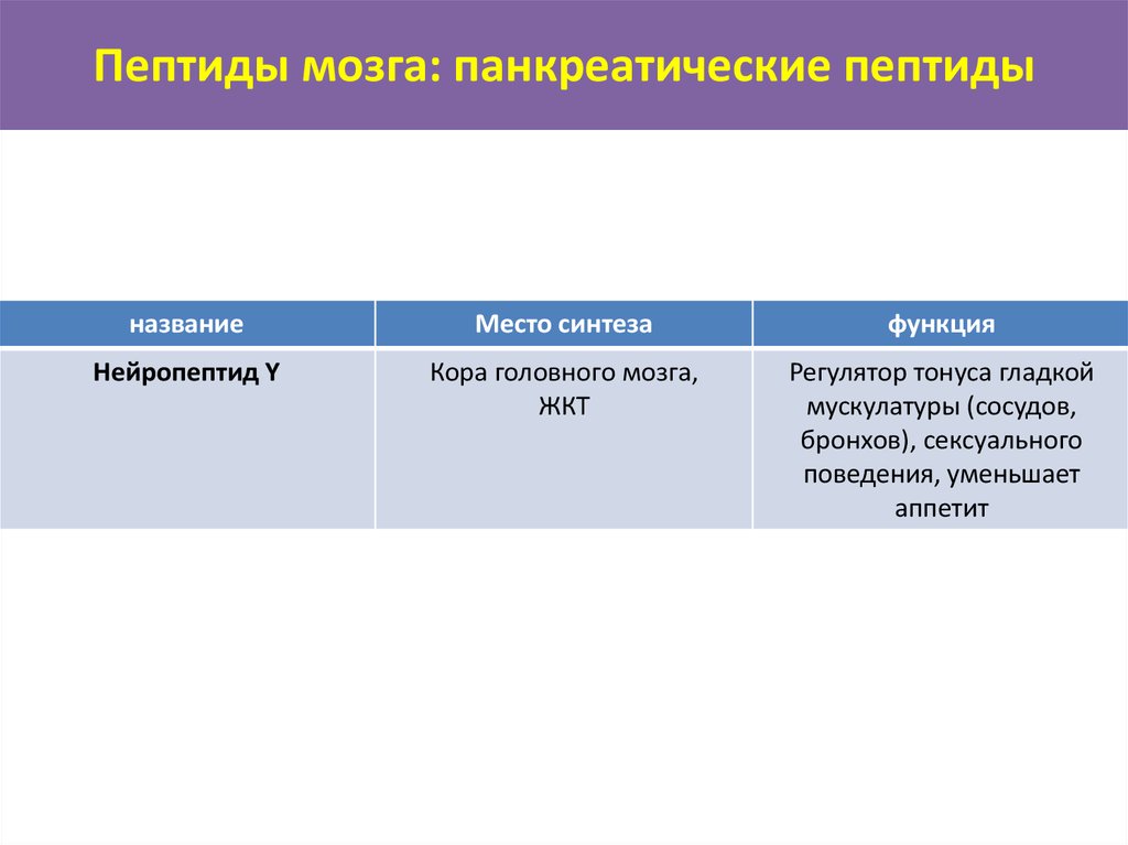 Пептид 32 мозга