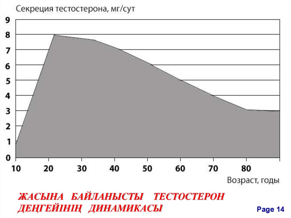 Уровень тестостерона. Тестостерон график от возраста. Возрастные показатели тестостерона. Уровень тестостерона с возрастом. Пик выработки тестостерона.