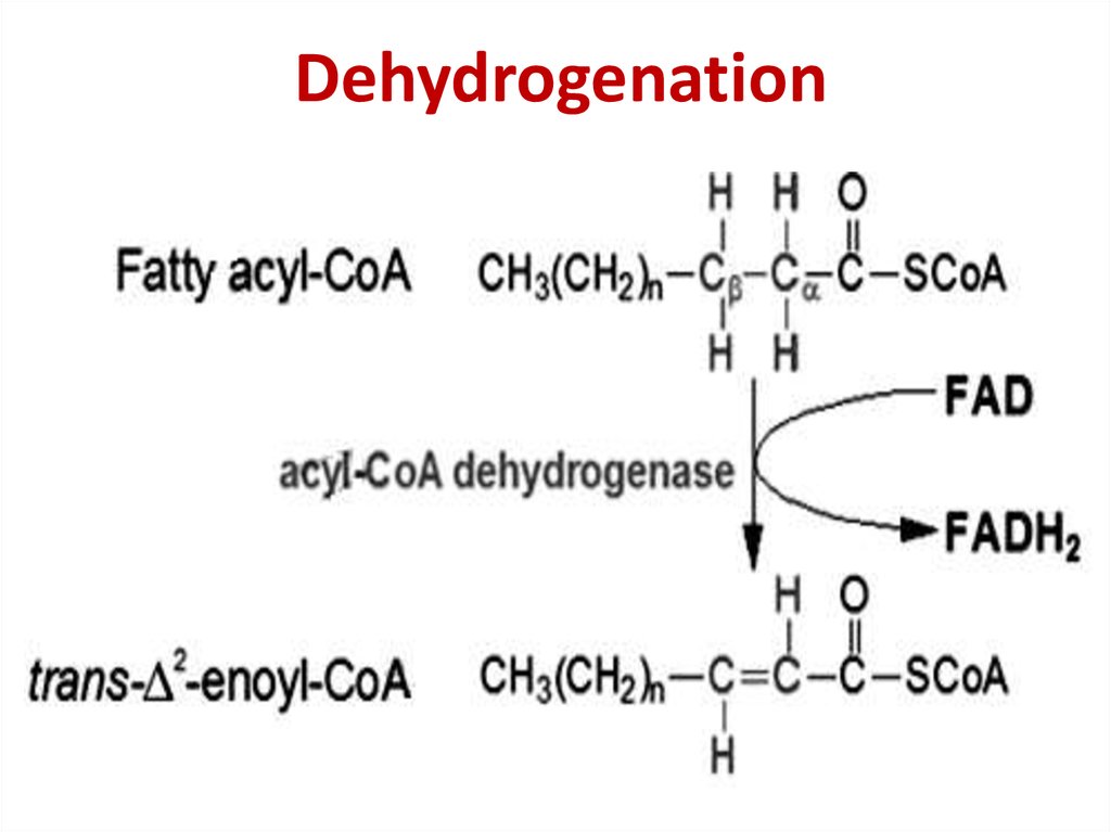 Dehydrogenation