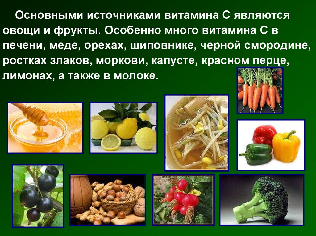 Популярный источник витамина а. Источники витамина с. Основные растительные источники витаминов. Источники витаминов для человека. Овощи являются источником.