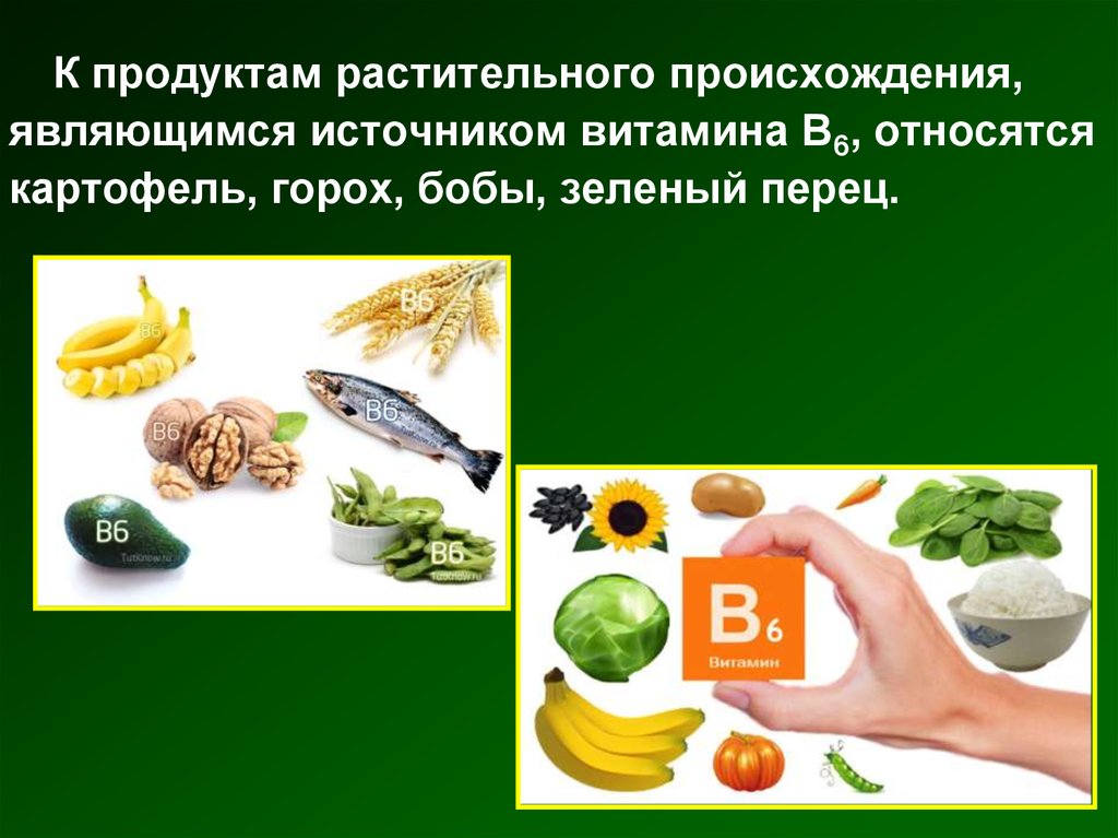 Витамин в содержится в растительных продуктах