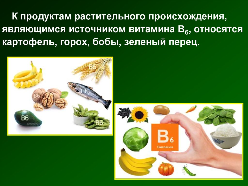 Продукты растительного происхождения