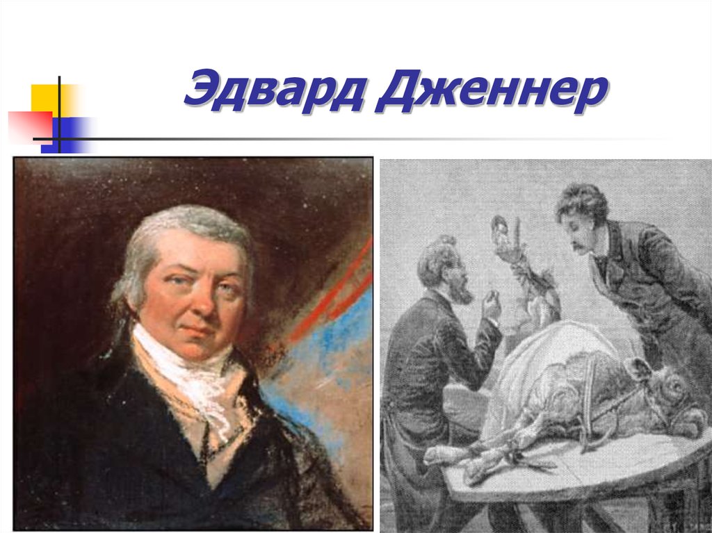 Презентация edward jenner