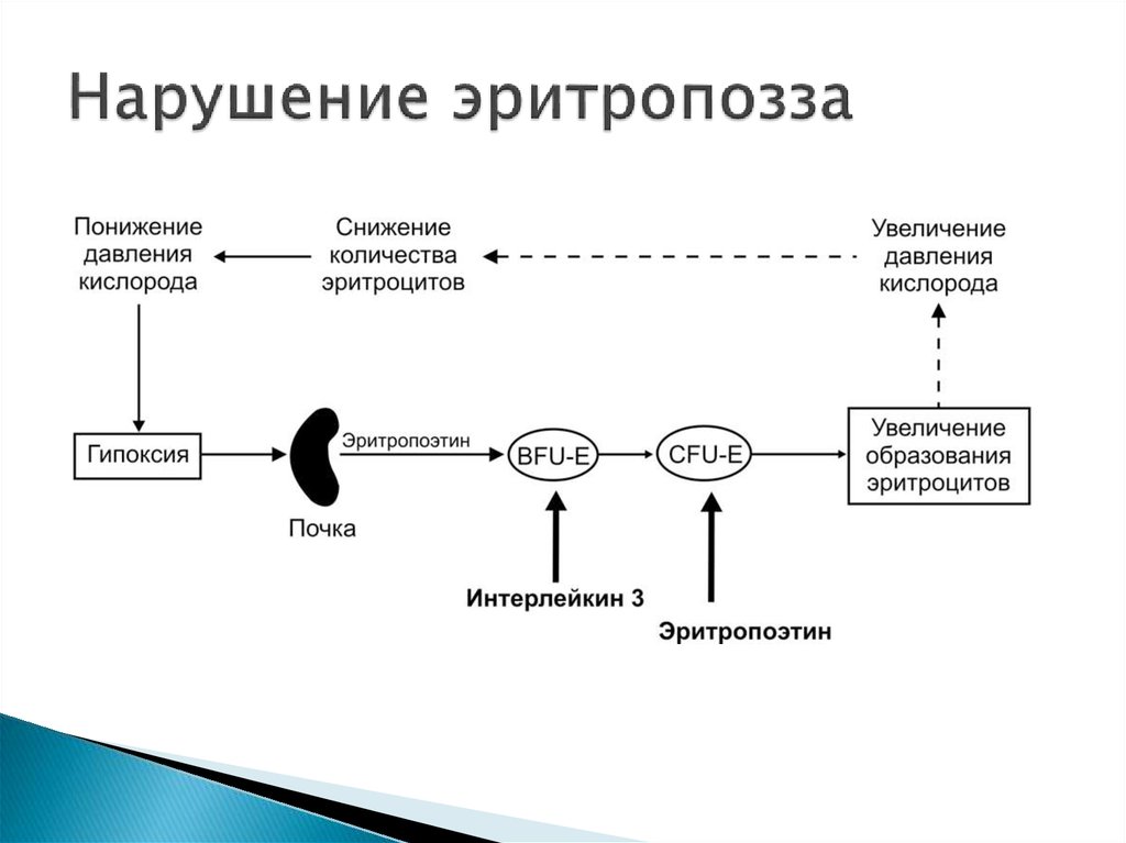 Гемическая гипоксия презентация