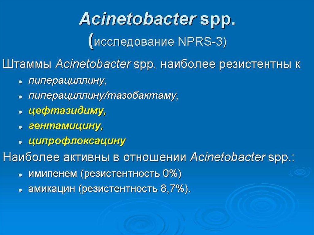 Сп п. Acinetobacter SPP антибиотики. Ацинетобактер антибактериальная терапия. Антибиотики при ацинетобактер. Acinetobacter резистентность.