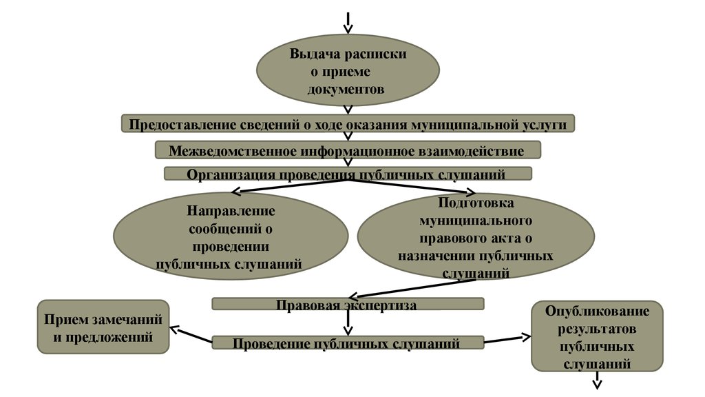 Предоставление информации услуга. Блок схема проведения публичных слушаний. Схема предельных параметров. Военный схема по публичным слушаниям.