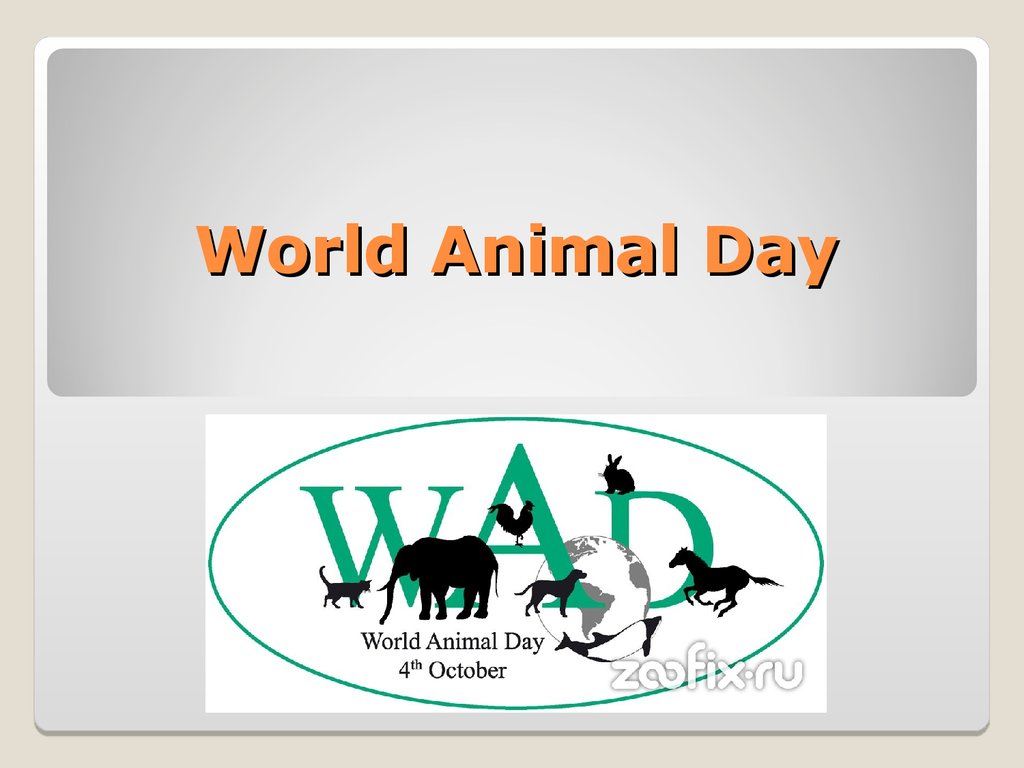 Animal day. World animal Day. Вопросы к тексту World animal Day. Animal World надпись. World animal Day 4 October logo.