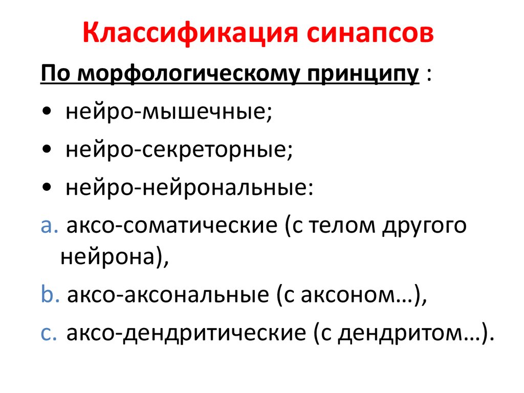 Установите соответствие виды синапсов