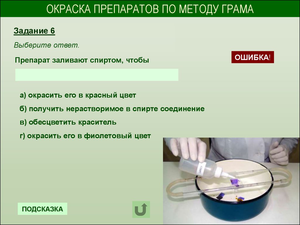 Окрасить средства. Окраска препарата по методу грама. Способы окраски препаратов. Окрашенные препараты по методу грама. Получение фиксированных окрашенных препаратов.