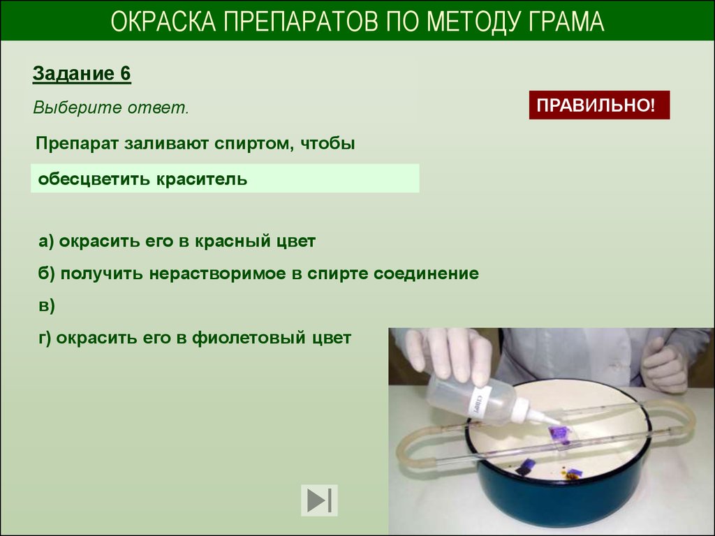 Методам препарат. Окраска препарата по методу грама. Способы окраски препаратов. Этапы окрашивания по Граму. Окрашивание по Граму методика.