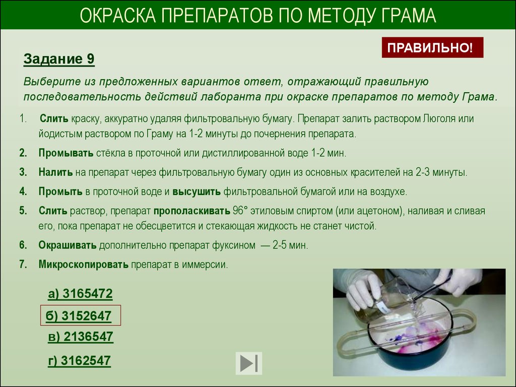 Установить метод. Окрашивание по методу грама. Методы окрашивания по Граму. Методы окраски препаратов. Техника окрашивания фиксированного препарата по методу грама.