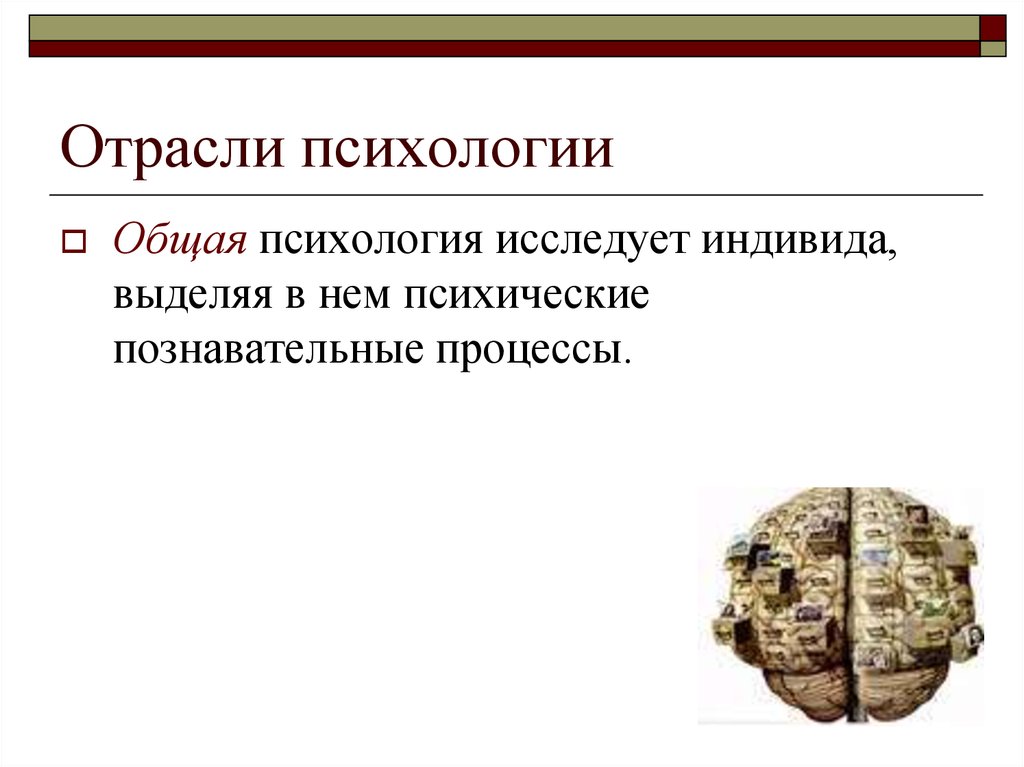 Общая психология исследует. Исследует индивида выделяя в нем Познавательные процессы и личность. Исследуемым индивидам.