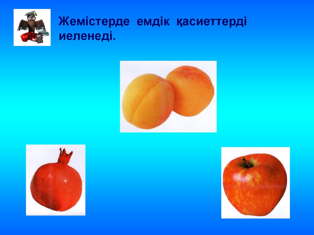 Жабайы алма. Жеміс көконістер туралы презентация. Алма жемістер суреті маска. Презентация "мәдени сәйкестік". .Өсынып өсімдік ұлпасыннан препарат тайарлау.