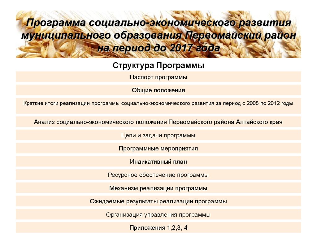 План социально экономического развития муниципального образования