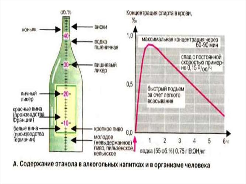 Кислотность браги. Концентрация спирта. Состав этилового спирта алкогооль. Процент содержания спирта в вине.