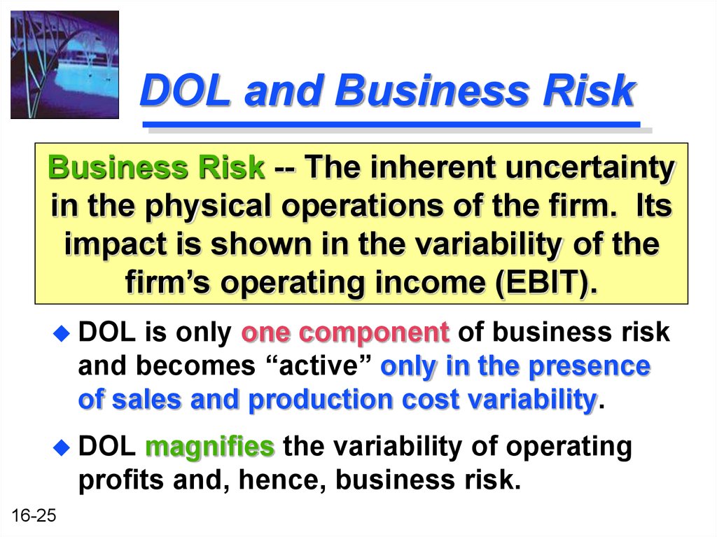 DOL and Business Risk