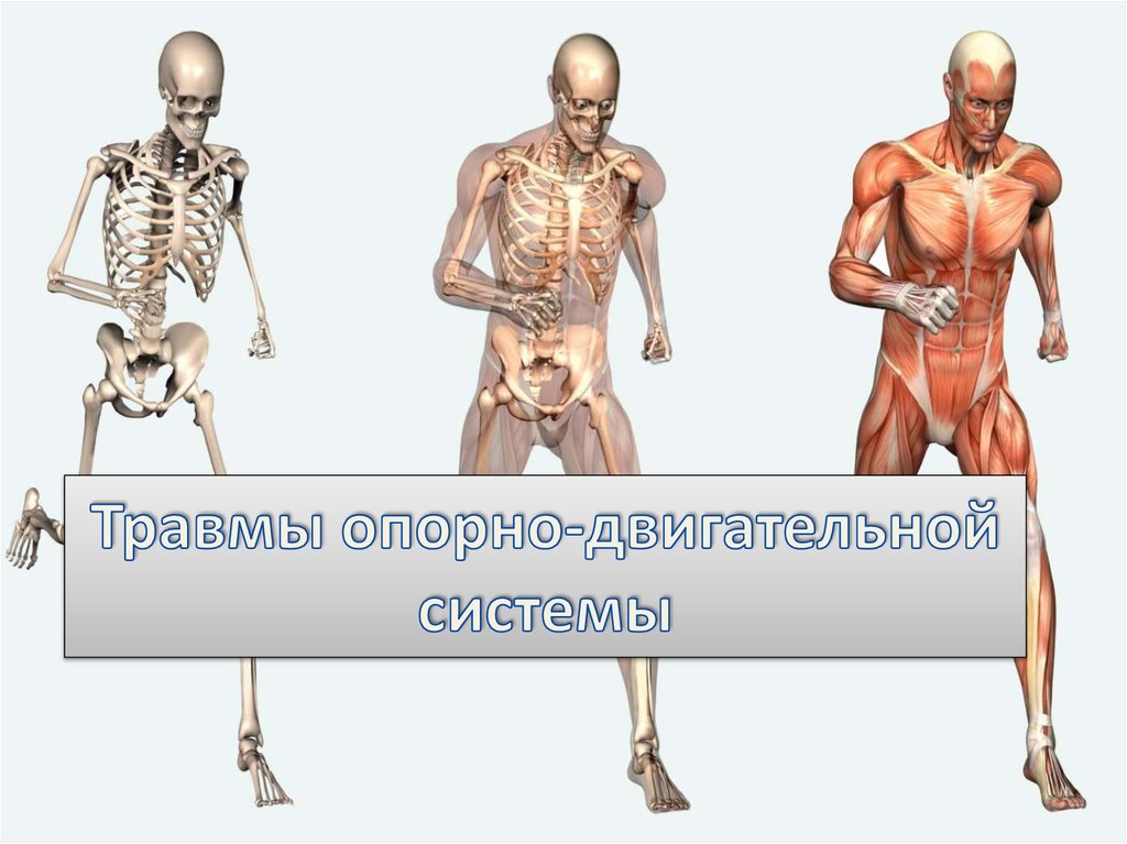 Лечение заболеваний опорно-двигательного аппарата