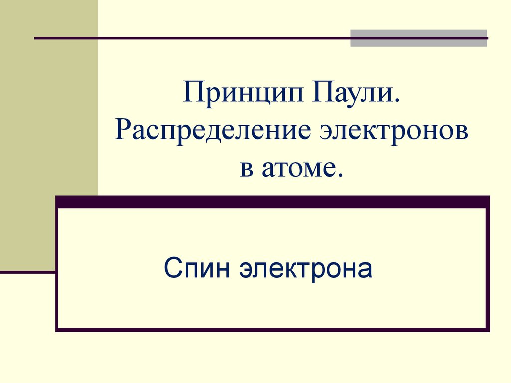 В паули презентация