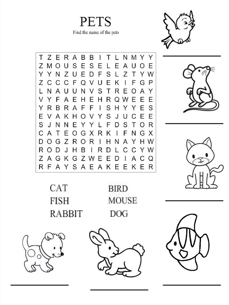 Pet tasks. Pets задания. Задания по теме Pets на английском. Pets упражнения для детей. Pets на английском языке для детей задания.