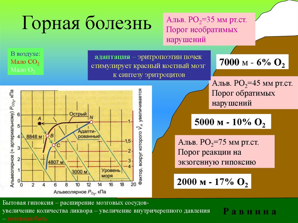 Горная болезнь. Горная болезнь физиология. Горная и Высотная болезни. Профилактика горной болезни. Горная болезнь причины.