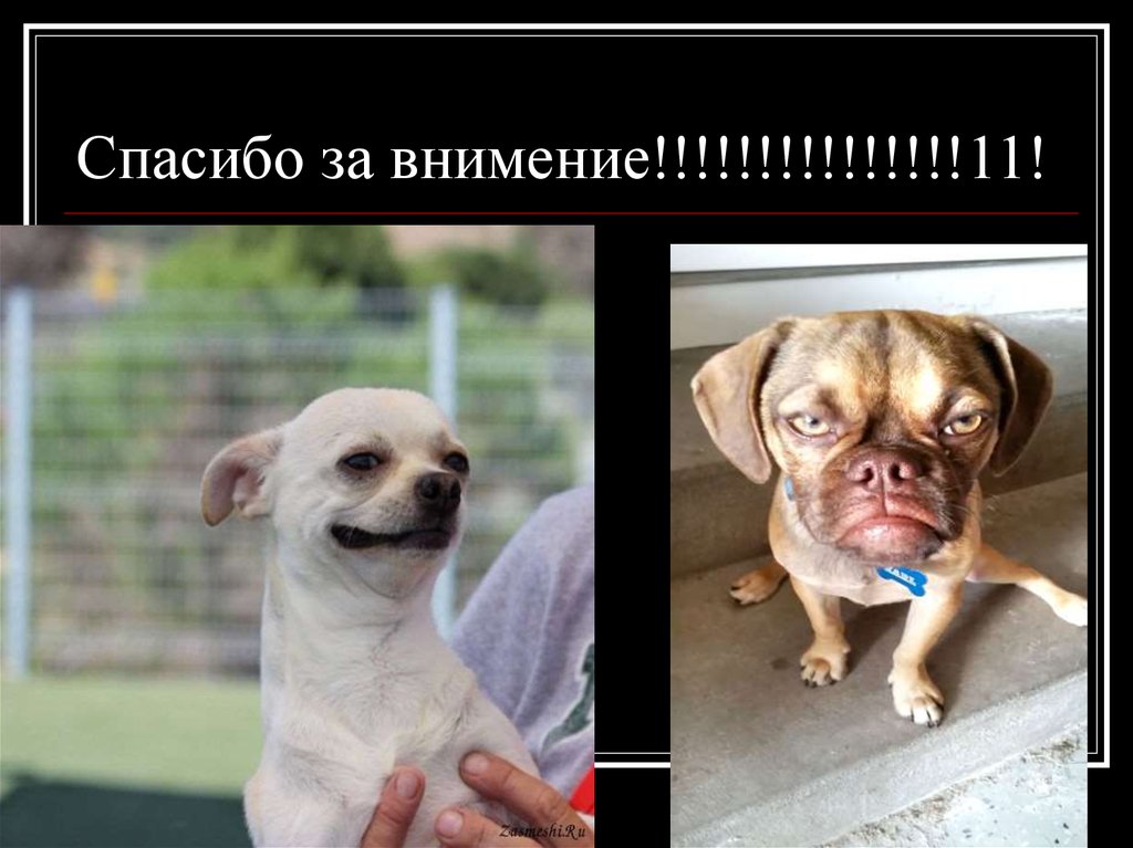 Спасибо за внимение!!!!!!!!!!!!!!!11!