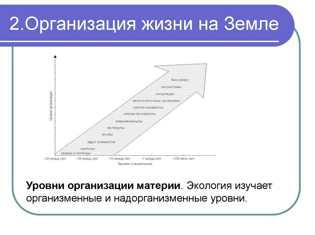 Какие уровни жизни изучает экология. Иерархия экологических уровней. Уровни организации экологии. Уровни организации материи экология. Уровни организации изучаемые экологией.