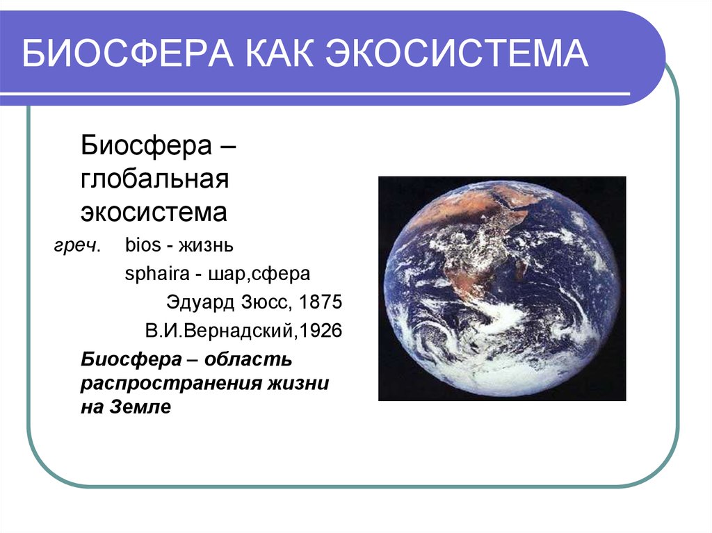 Биосфера глобальная экосистема презентация 8 класс