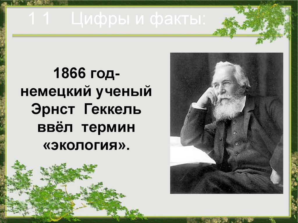 Термин экология в 1866 году. Биолог Эрнст Геккель. Эрнст Геккель в 1866 году. Э. Геккель термин «экология».