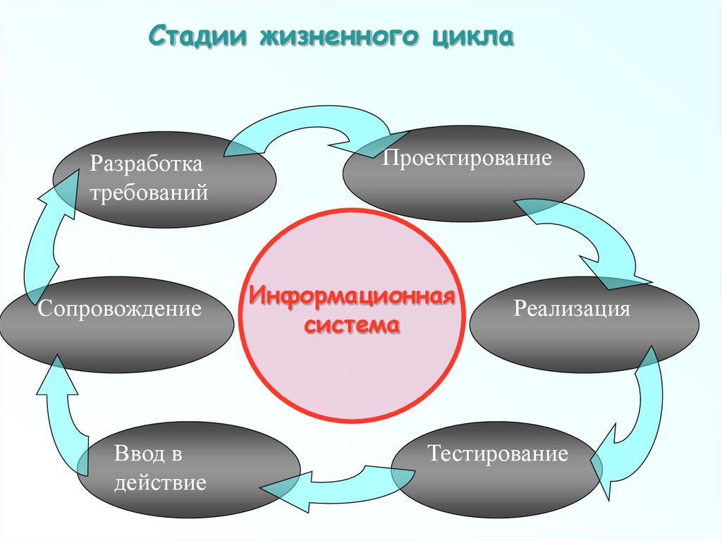 Процесс жизненного цикла ис. Понятие жизненного цикла ИС. Жизненный цикл системы. Цикл разработки информационной системы. Схему процессов жизненного цикла информационной системы.