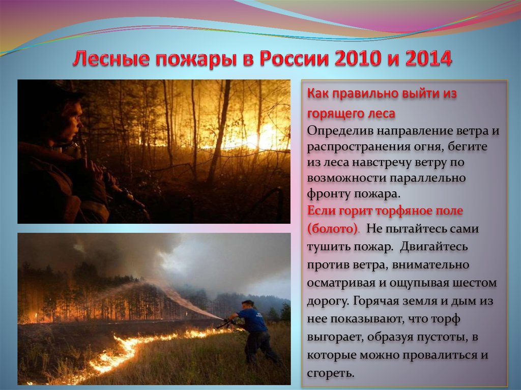 Лесные пожары вопросы. Лесные пожары в России 2010. Сообщение о пожаре в России. Лесные пожары в России доклад. Причины лесных пожаров.