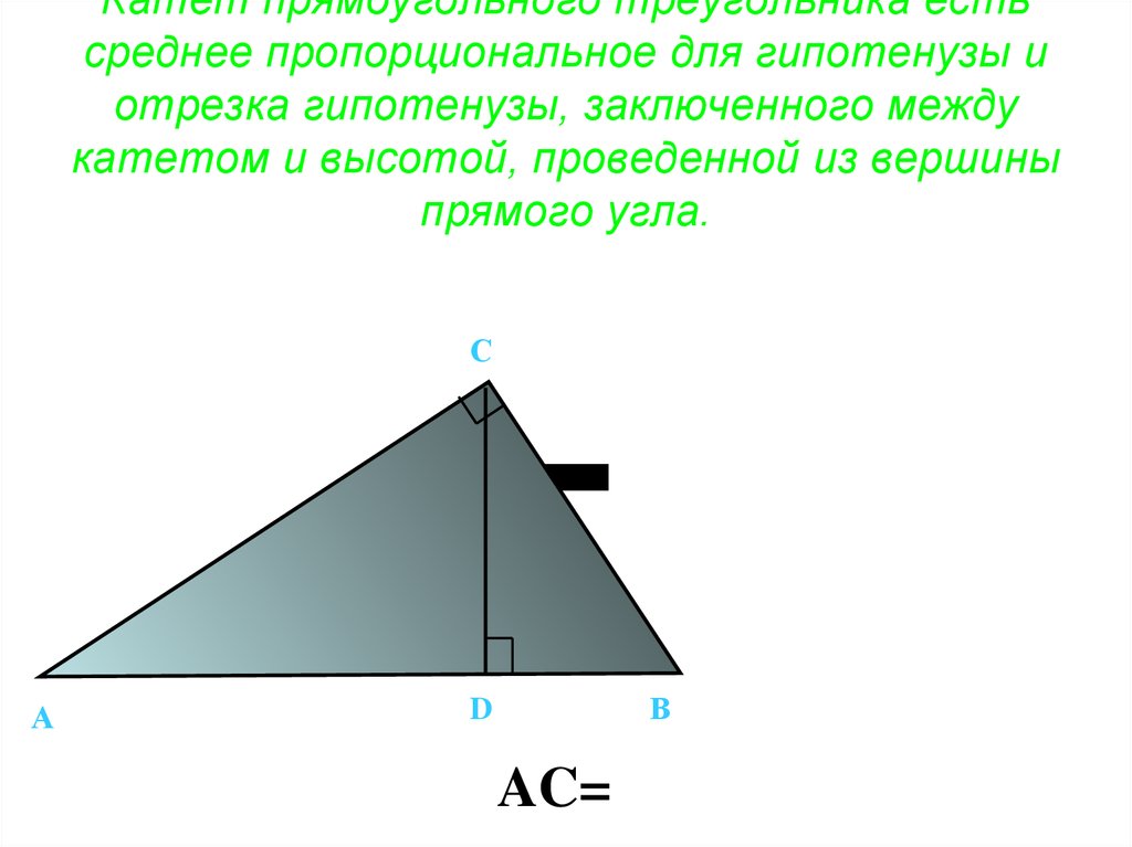 Катет прямоугольного треугольника есть среднее пропорциональное для гипотенузы и отрезка гипотенузы, заключенного между катетом