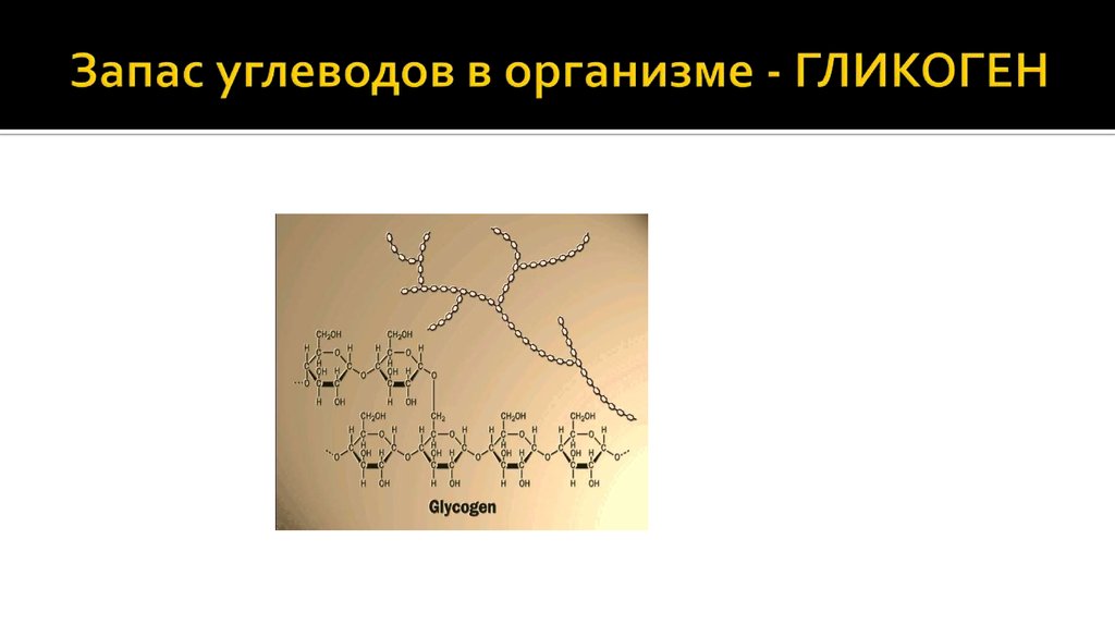 Гликоген у грибов