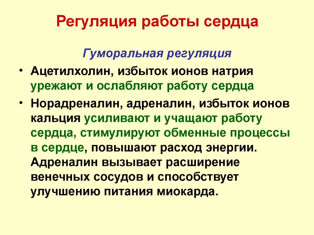 Адреналин усиливает сокращения. Влияние ацетилхолина на деятельность сердца. Регуляция деятельности сердца физиология. Влияние ацетиохолина на серуде. Влияние адреналина и ацетилхолина на сердце.