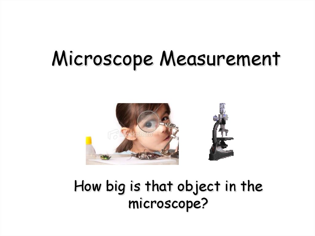 Microscope Measurement