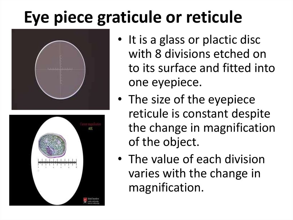 Eye piece graticule or reticule