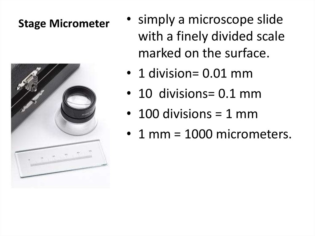Microscope Measurement - online presentation