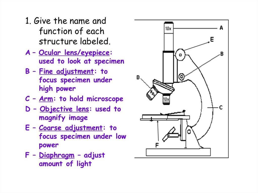 resolution calculator microscope
