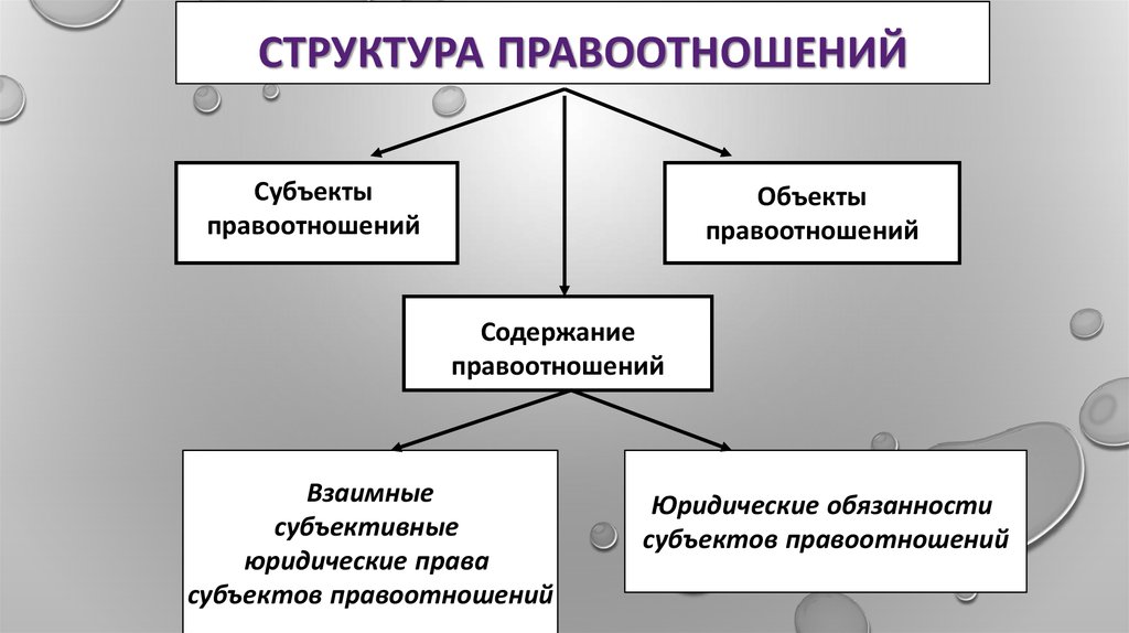 Схема структуры правоотношения