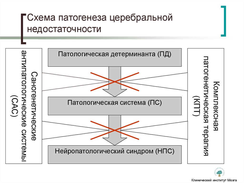 Острая церебральная недостаточность презентация