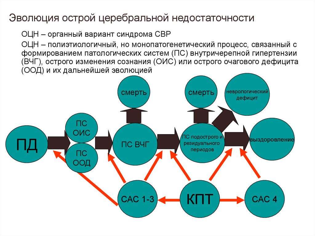 Острая церебральная недостаточность презентация