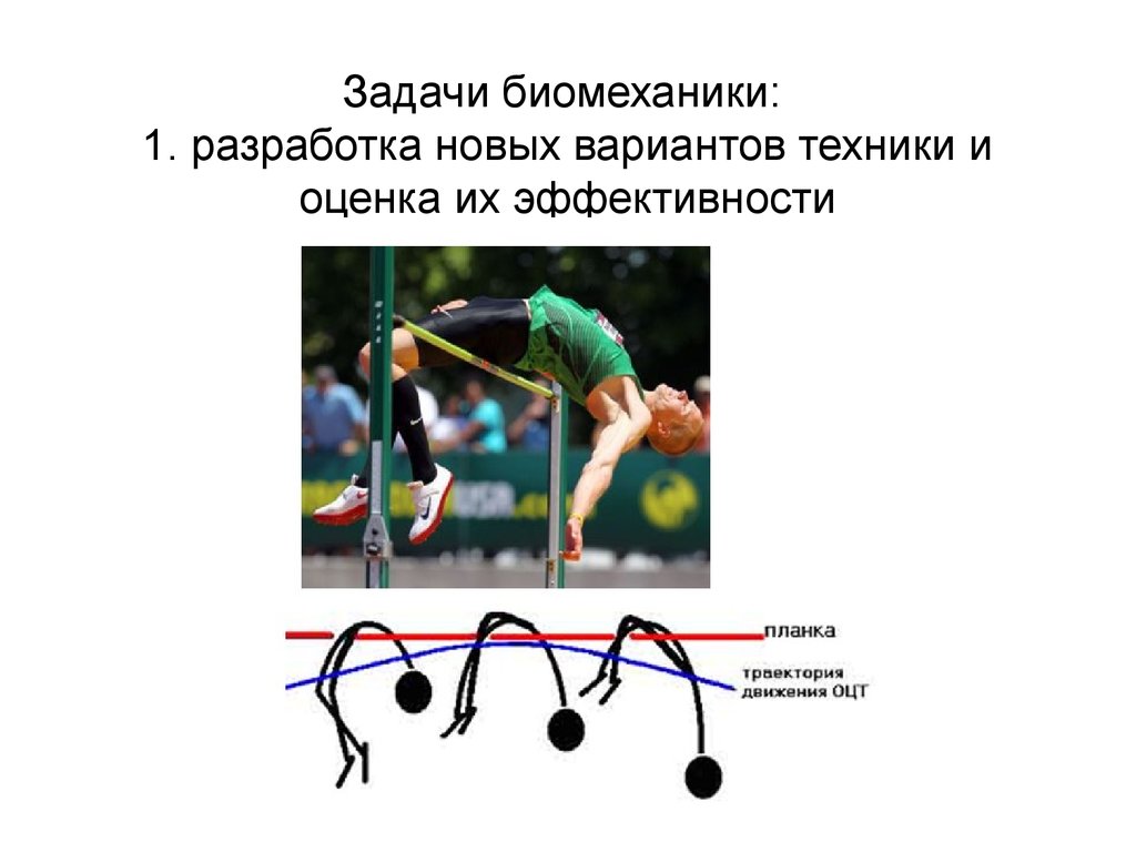 Инженерная биомеханика презентация