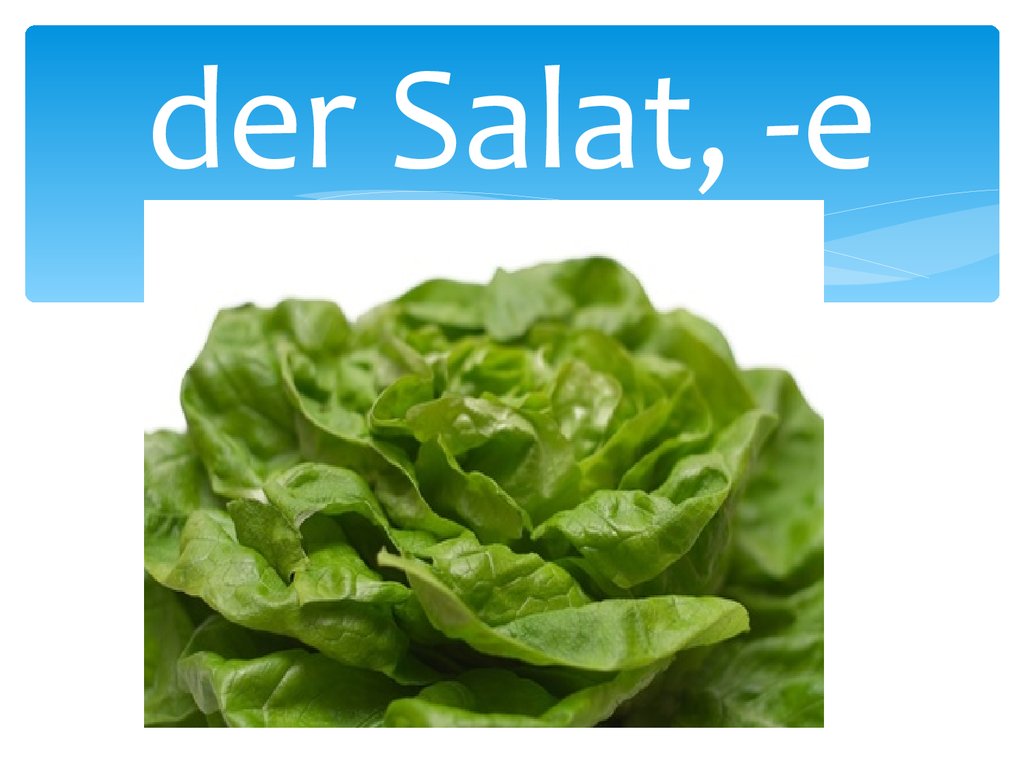 Der salat