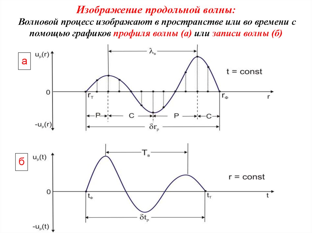 Изображение продольной волны: Волновой процесс изображают в пространстве или во времени с помощью графиков профиля волны (а) или записи во