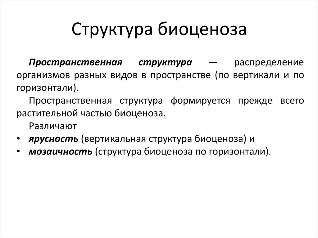 Пространственная структура биоценоза презентация