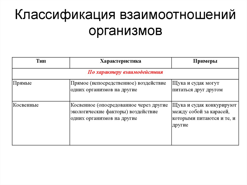 Тип взаимоотношений и их примеры