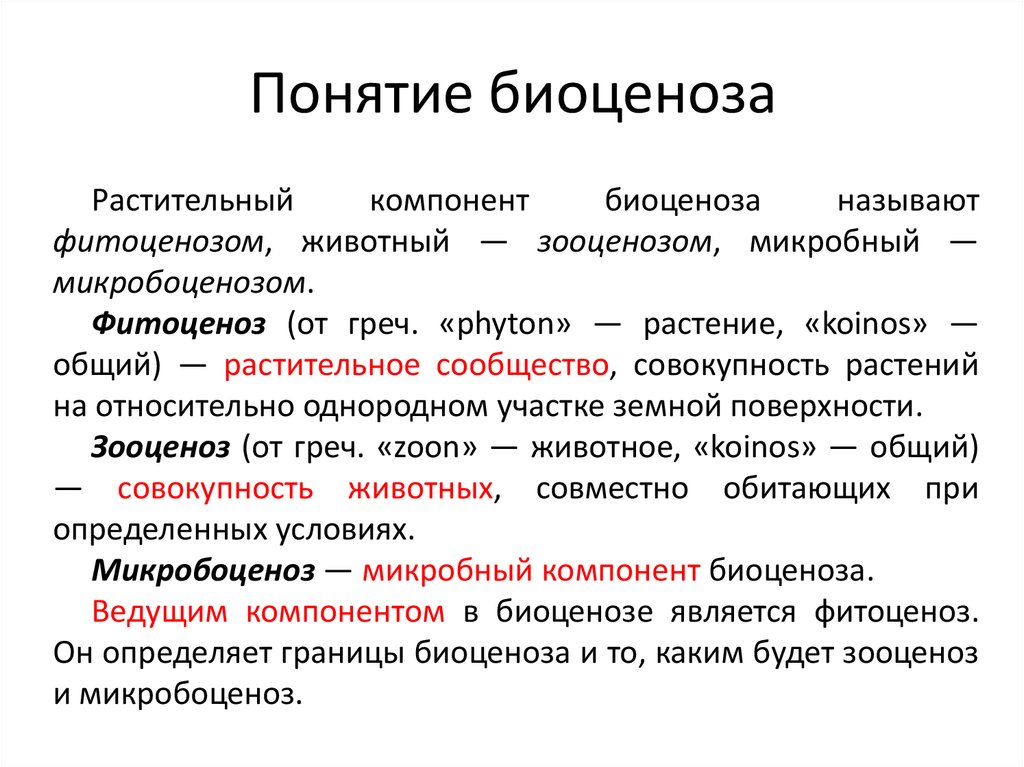 Видовая структура биоценоза презентация