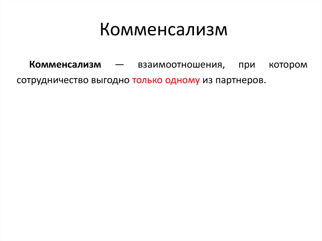 Комменсализм и аменсализм. Примеры комменсализма в биологии. Комменсализм.